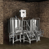600L Совмещенный 2 или 3-судно Пиво пивоварни Stout Пиво приборостроительный завод на продажу