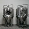 1000L Красная медь / нержавеющая сталь Brew чайник Brewhouse Система Tank для продажи