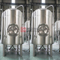 Нержавеющая сталь 15BBL Коммерческое пиво Craft Оборудование Brite бак / вторичный бак санитарно для продажи