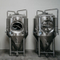 1000L SUS 304 Craft Brewery Сосуд / Пивоваренная Система Индивидуальные Пиво Брожения Бак для Продажи
