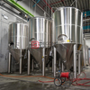 10BBL Заказное превосходное оборудование для автоматического пивоварения с подогревом паром в Китае