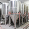 10BBL ремесленное оборудование для пивоваренного завода из нержавеющей стали