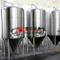 10BBL / 15BBL / 20BBL коммерческий кожух ферментер