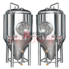 7BBL Pub Ale Конический бродильный чан Оборудование для пивоварения Завод по производству пива Система производства