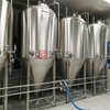 1000L Оборудование для пивоварения с двойной изоляцией и паровым отоплением